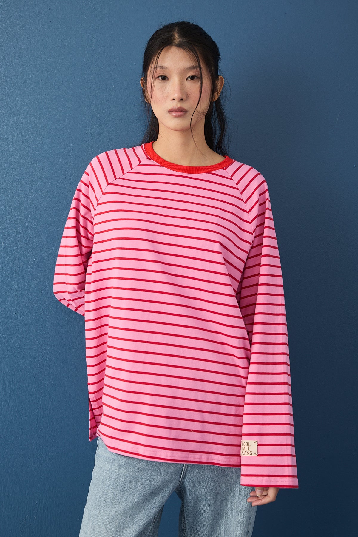 Reglan Kol Basic Çizgili Sweasthirt