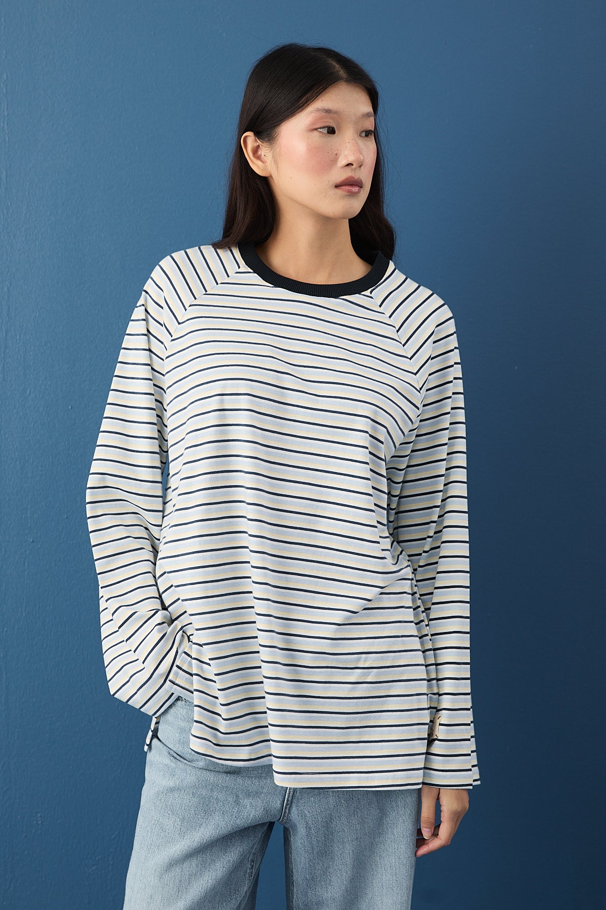 Reglan Kol Basic Çizgili Sweasthirt