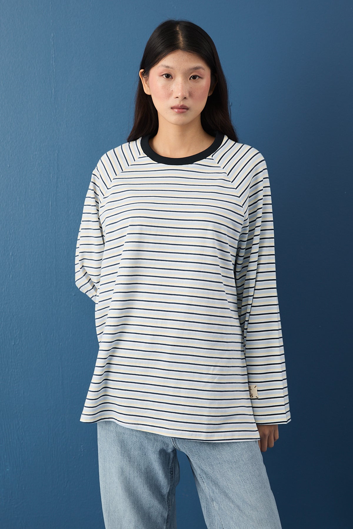 Reglan Kol Basic Çizgili Sweasthirt