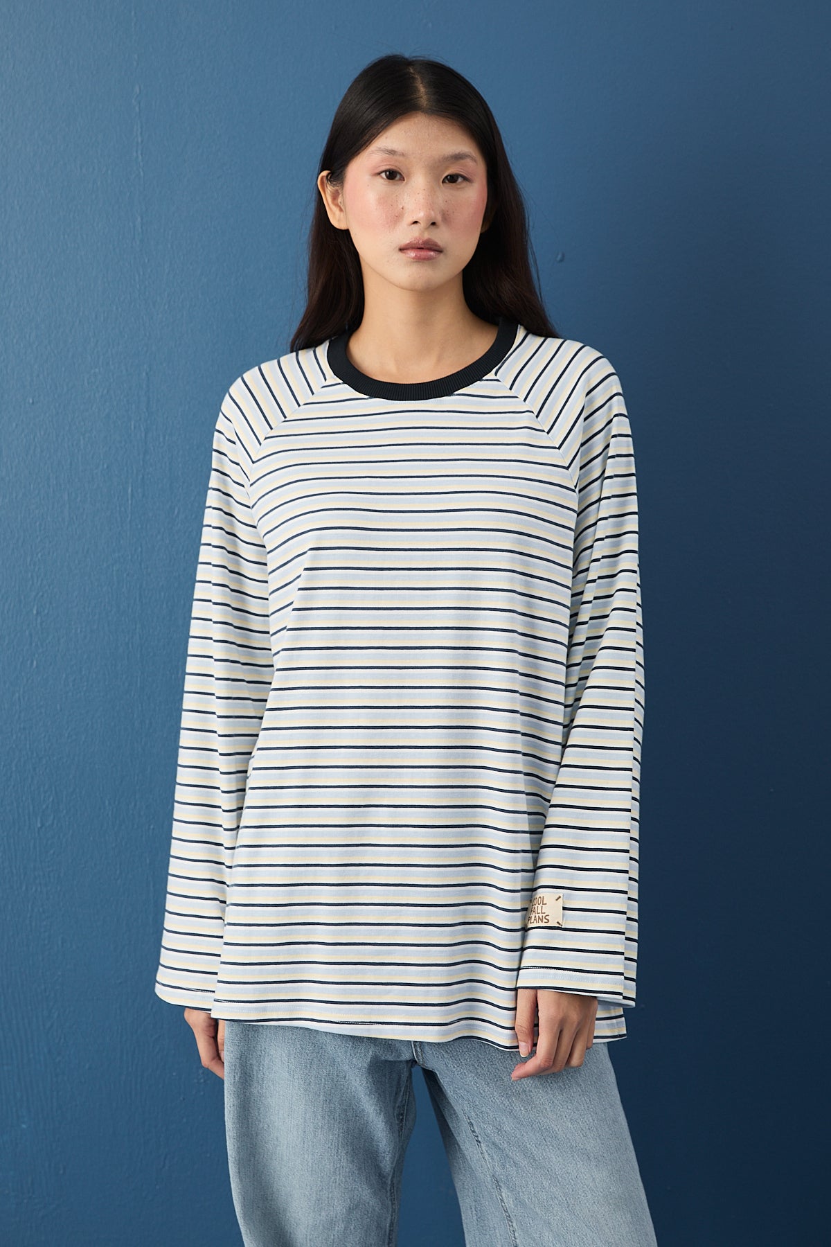 Reglan Kol Basic Çizgili Sweasthirt