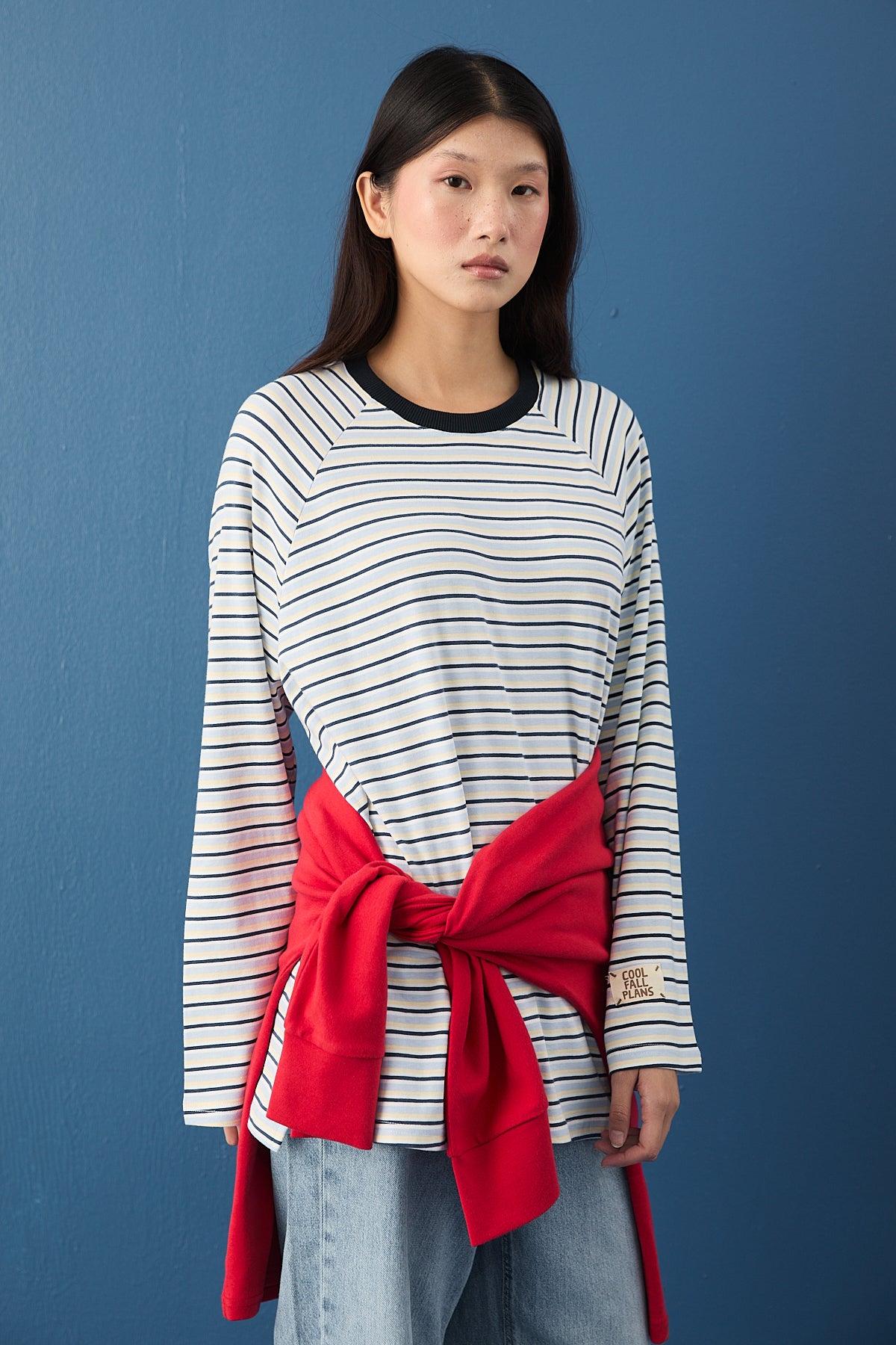 Reglan Kol Basic Çizgili Sweasthirt
